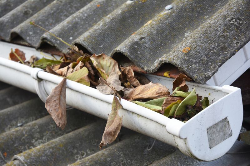 Clogged Gutters
